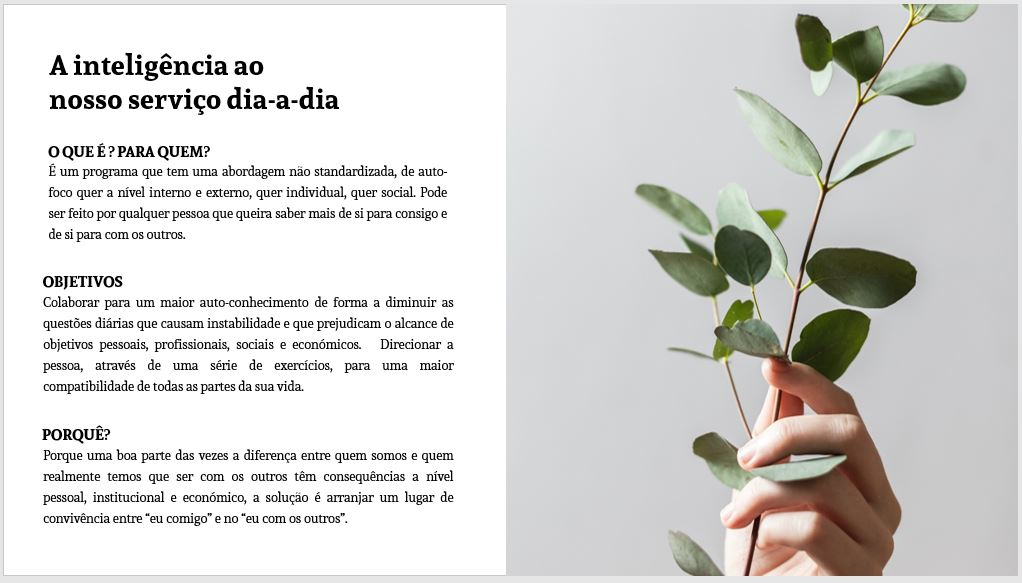Diapositivo de descrição de programa